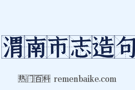 渭南市志造句是什么意思的图片